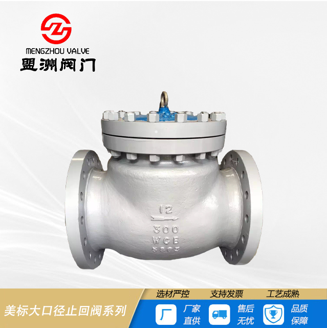 American Standard Large Bore Check Valve